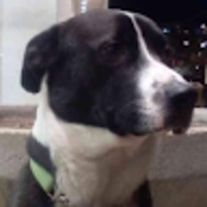 Meet your Posher, Tanis